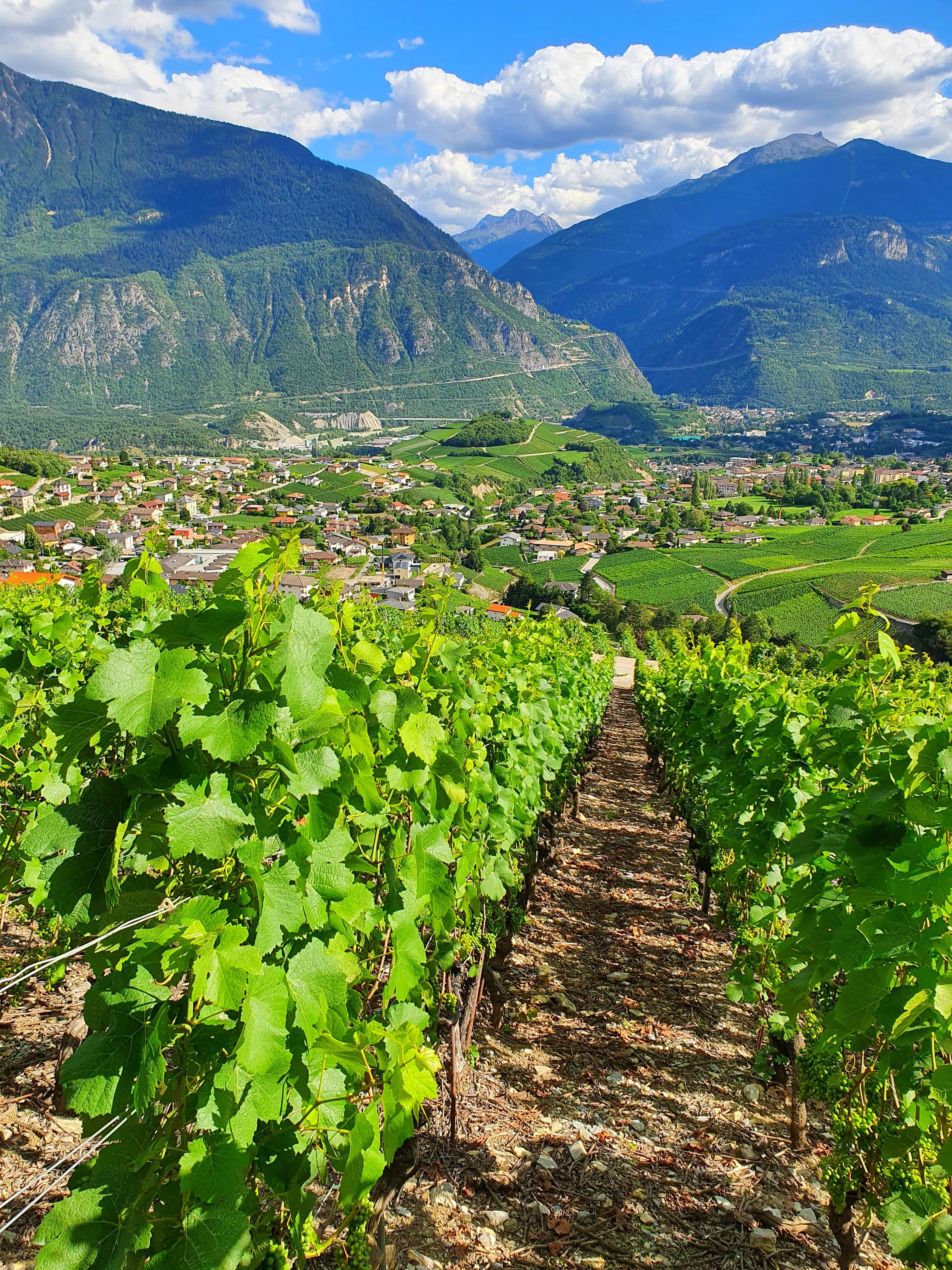Valtellina, Bernina Express e St. Moritz
